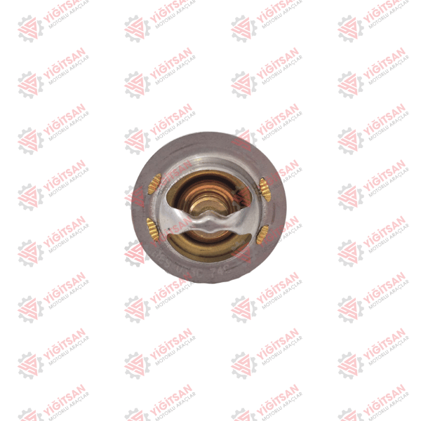 TERMOSTAT (6CT) (74C)