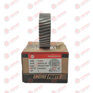 GRANK DİŞLİSİ 6 BT