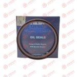 ARKA KRANK KEÇESİ 6CT-6BT